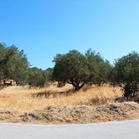 Land plot in Greece