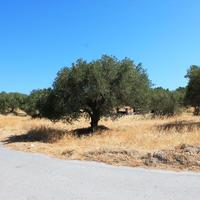 Land plot in Greece