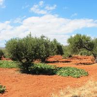 Земельный участок в Греции