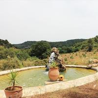 Земельный участок в Греции