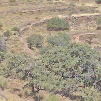 Земельный участок в Греции