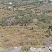 Земельный участок в Греции