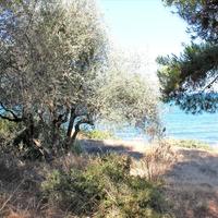 Land plot in Greece