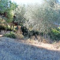 Land plot in Greece