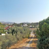Land plot in Greece