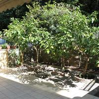 Квартира в Греции, 61 кв.м.