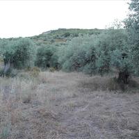 Land plot in Greece
