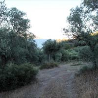 Land plot in Greece