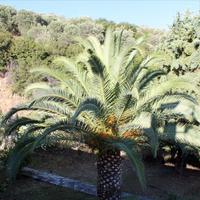 Таунхаус в Греции, 120 кв.м.