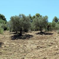 Land plot in Greece
