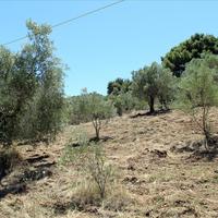 Land plot in Greece