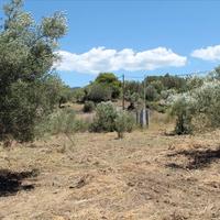 Land plot in Greece