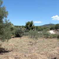 Land plot in Greece