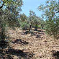 Land plot in Greece