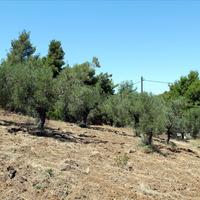 Land plot in Greece