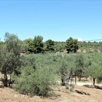 Land plot in Greece