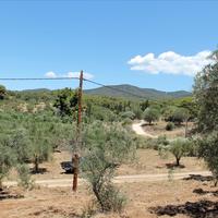 Land plot in Greece