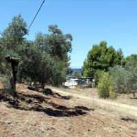 Land plot in Greece