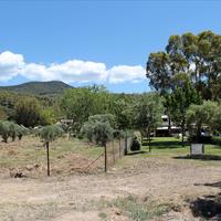 Land plot in Greece