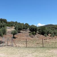 Land plot in Greece