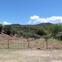 Land plot in Greece