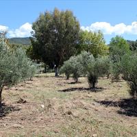 Land plot in Greece