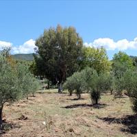 Land plot in Greece