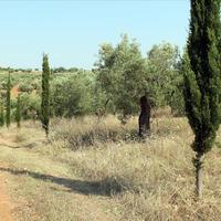 Земельный участок в Греции