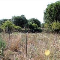 Земельный участок в Греции