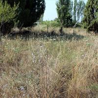 Земельный участок в Греции