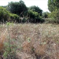 Земельный участок в Греции