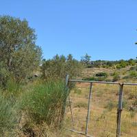 Land plot in Greece, 7700 sq.m.
