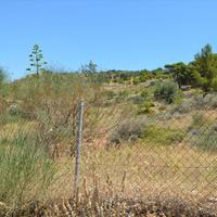 Land plot in Greece, 7700 sq.m.