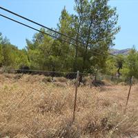 Land plot in Greece, 7700 sq.m.