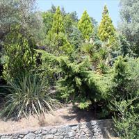 Другое в Греции, 100 кв.м.