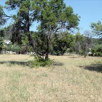 Земельный участок в Греции