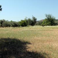 Земельный участок в Греции