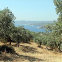 Land plot in Greece