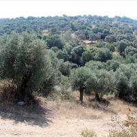 Land plot in Greece