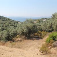Land plot in Greece