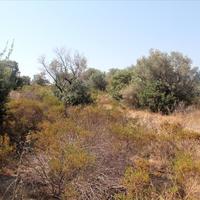 Land plot in Greece