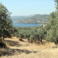 Land plot in Greece