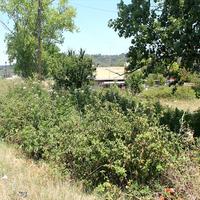 Земельный участок в Греции