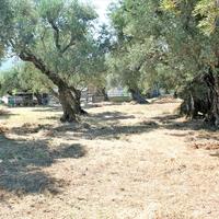 Land plot in Greece
