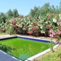 Другое в Греции, 140 кв.м.