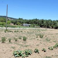 Земельный участок в Греции