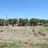 Земельный участок в Греции