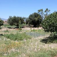 Land plot in Greece