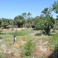 Land plot in Greece