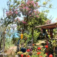 Земельный участок в Греции